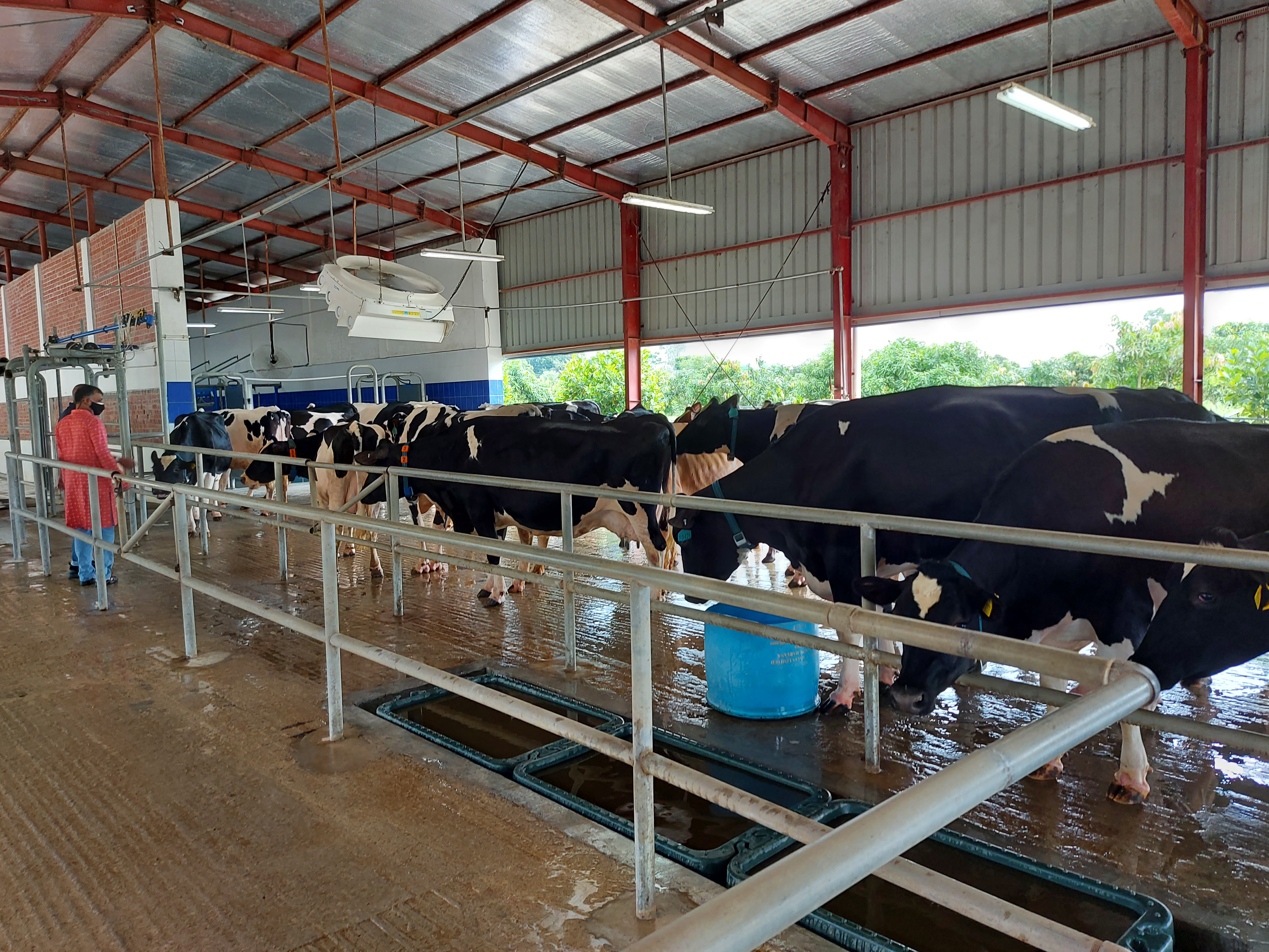 প্রাযুক্তি হস্তান্তর