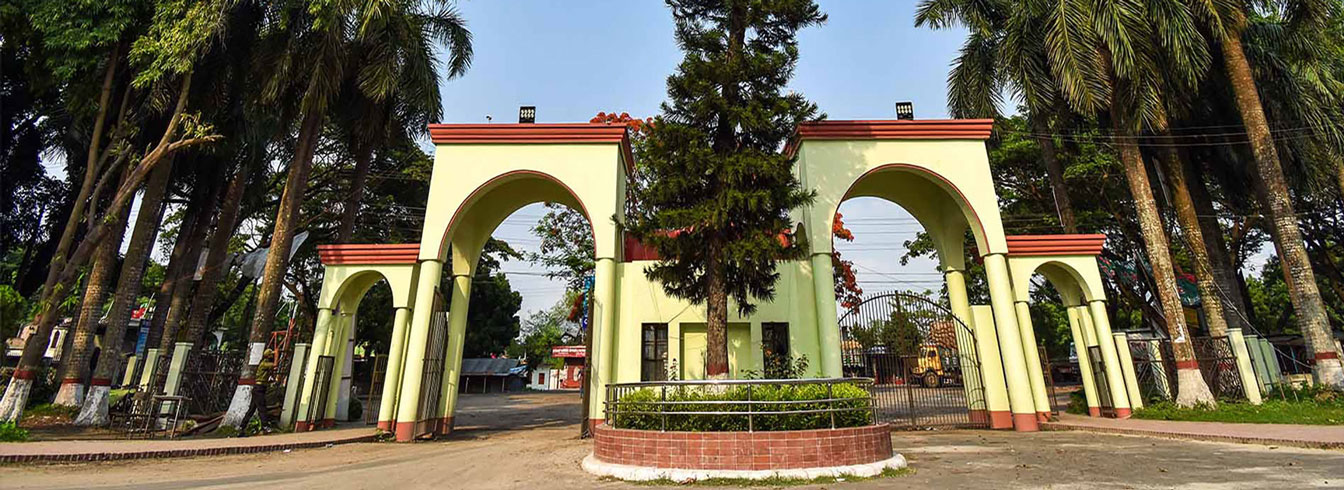 মেইন গেট