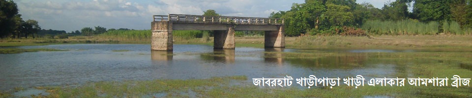 আমসারা ব্রীজ