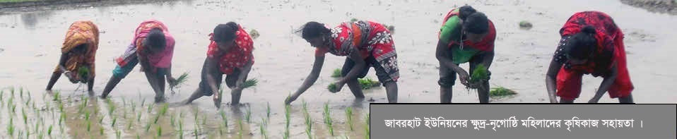 সাওতাল ক্ষুদ্রনৃগোষ্ঠি