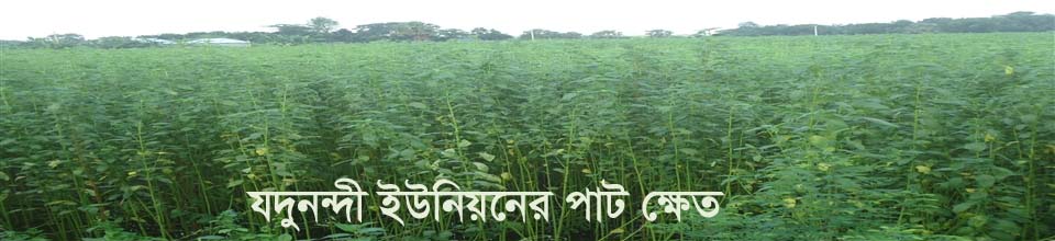 বাংলার প্রকৃতি সোনালী আশ গাছের চিত্র