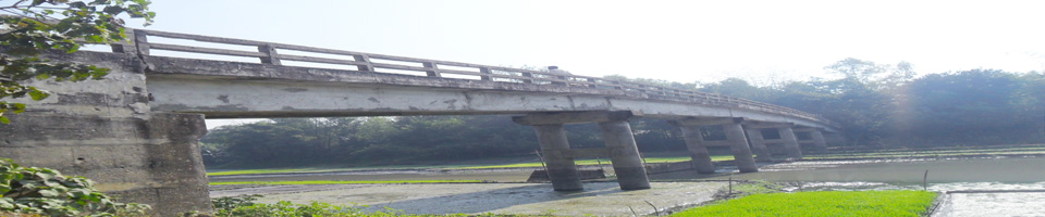 ব্যানার