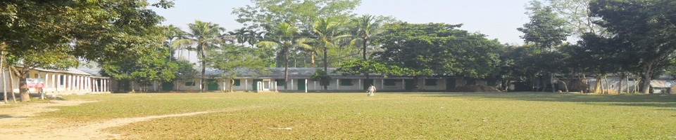 ব্যানার