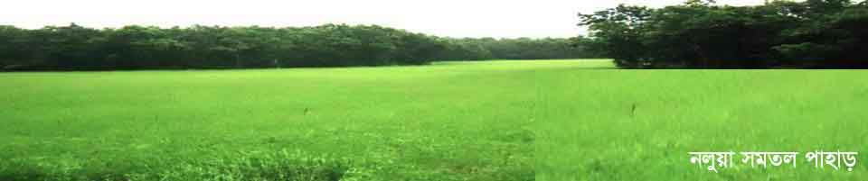 নলুয়া সমতল পাহাড়
