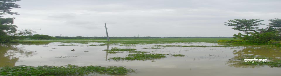 হাকালুকি হাওর