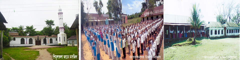 ৫ নং জায়ফরনগর ইউনিয়ন