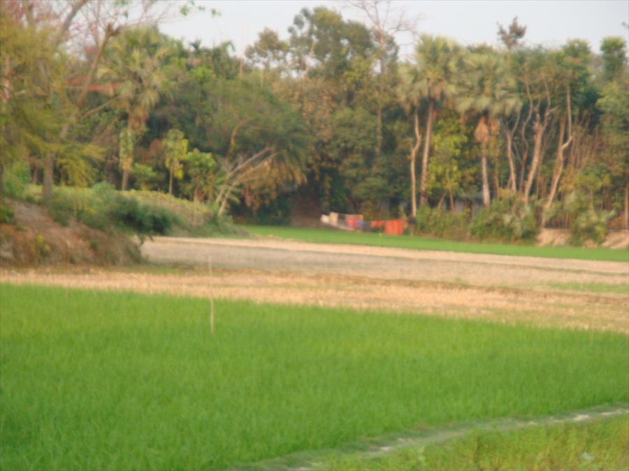 ভূমি অফিস