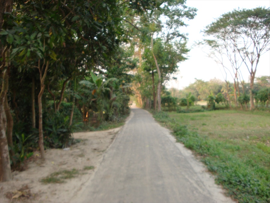 স্থানীয় সরকার প্রকৌশল