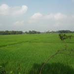 কৃষি ও প্রাণিসম্পদ