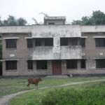 স্বাস্থ্য