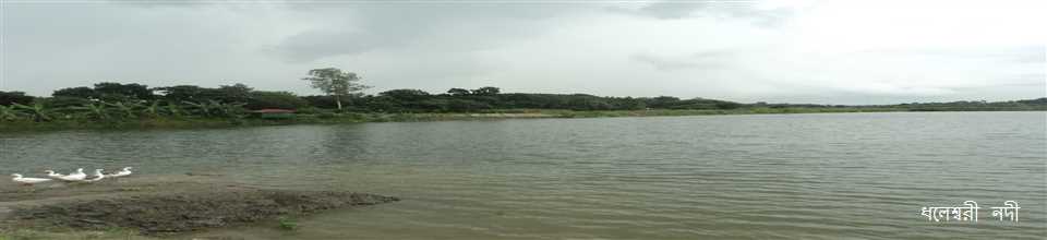 ধলেশ্বরী নদী