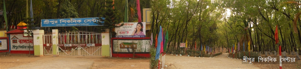 শ্রীপুর পিকনিক সেন্টার