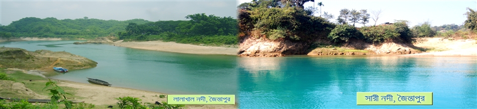 সারী নদীর লালা খাল অংশ