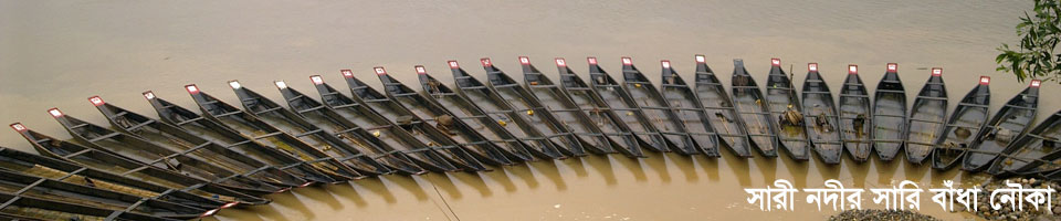 সারী ঘাটে সারি বাধা নৌকা