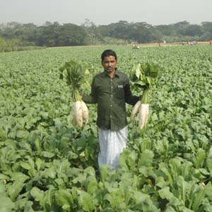 ভূমি অফিস