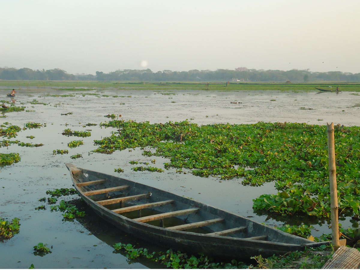 কৃষি ও প্রাণিসম্পদ