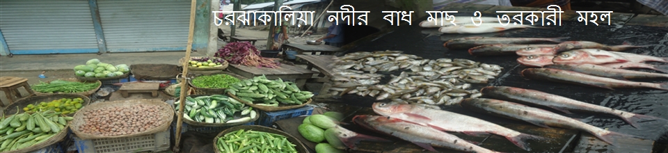 চরঝাকালিয়া নদীর বাধ মাছ ও তরকারী মহল।