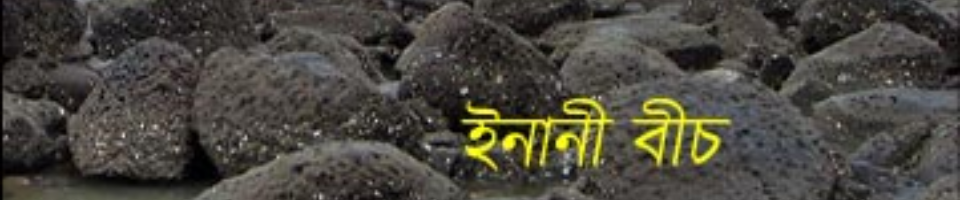 ইনানী বীচ