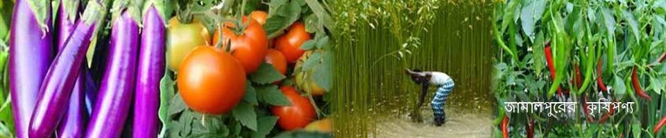 জামালপুরের কৃষিপণ্য