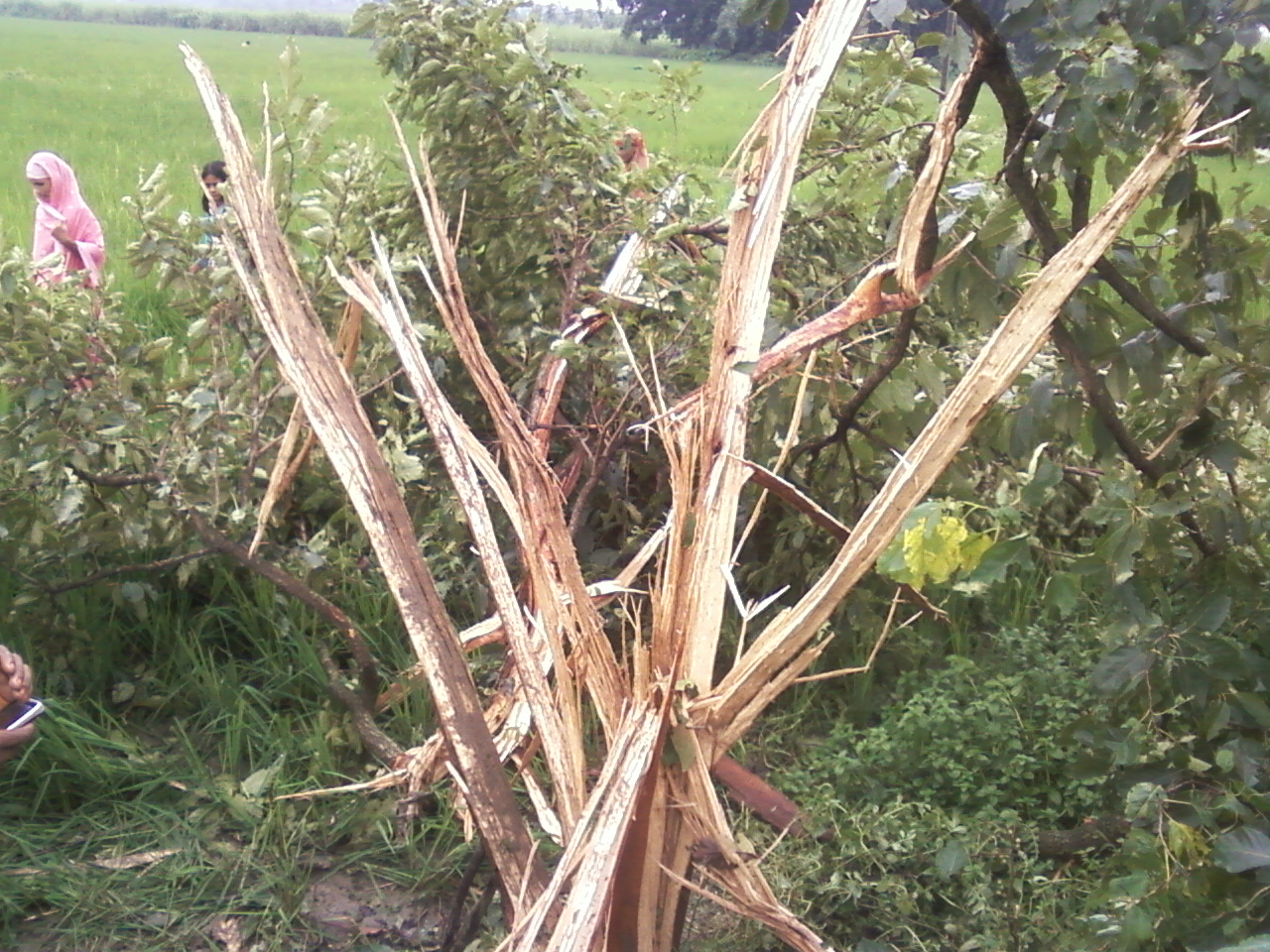 তথ্য ও সেবা কেন্দ্র