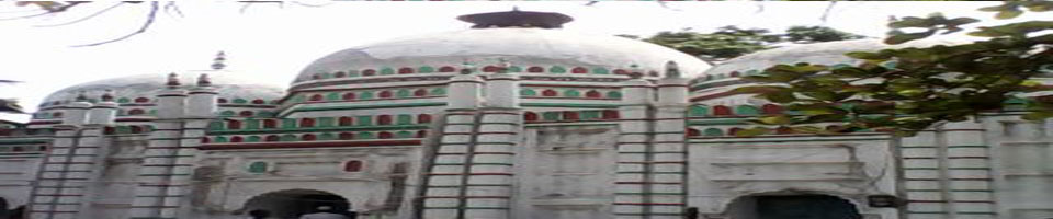 পাকুল্যা শাহী জামে মসজিদ