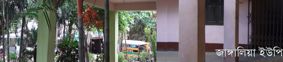 জাঙ্গালিয়া ইউনিয়ন পরিষদ ভবন