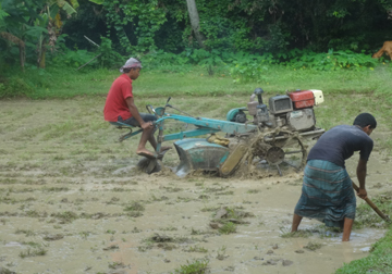 কৃষি ও প্রাণিসম্পদ