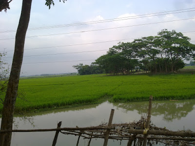 কৃষির ছবি