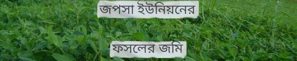 আমাদের ফসলের জমি
