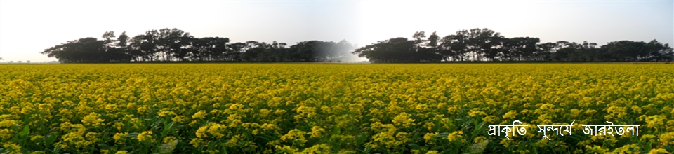 প্রাকৃতিক সুন্দর্যে জারইতলা