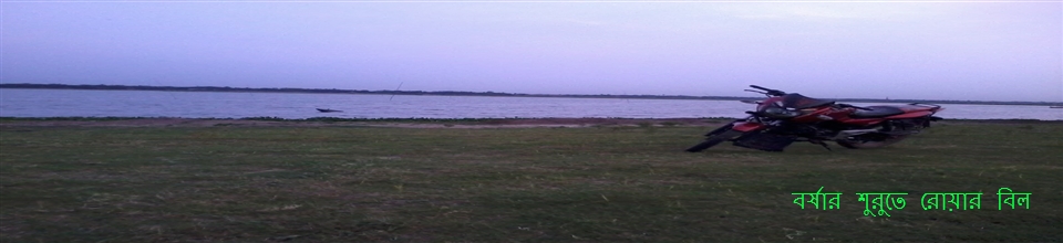 বর্ষার শুরুতে রোয়ার বিল