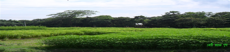 একটি গ্রামের দৃশ্য