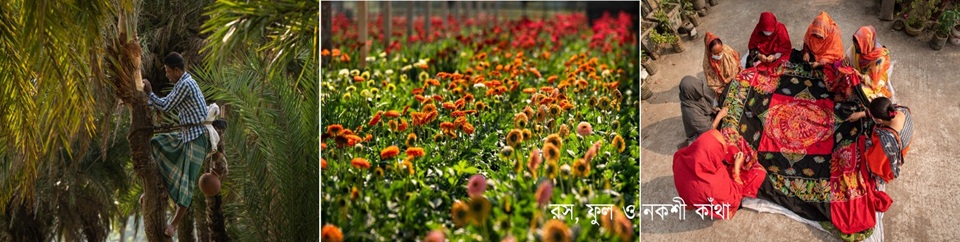 রস, ফুল ও নকশী কাঁথা