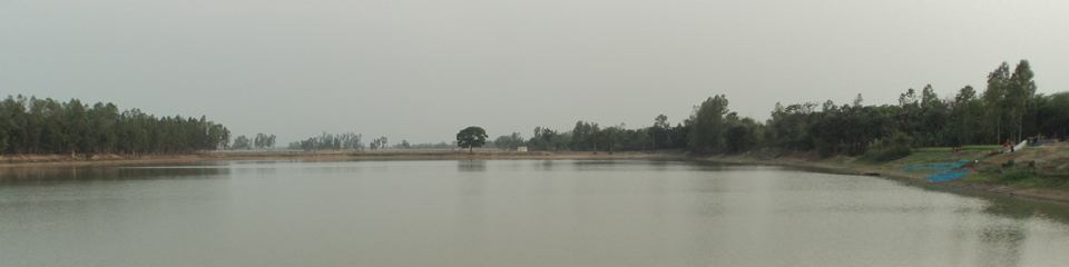 ব্যানার