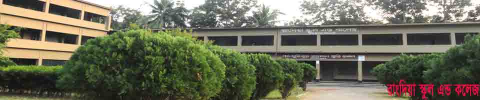 রাংদিয়া স্কুল এন্ড কলেজ