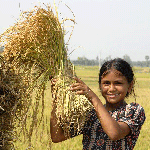কৃষি ও প্রাণিসম্পদ