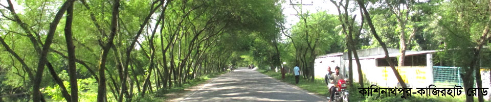 কাশিনাথপুর কাজিরহাট রোড