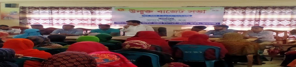 বাজেটসভা