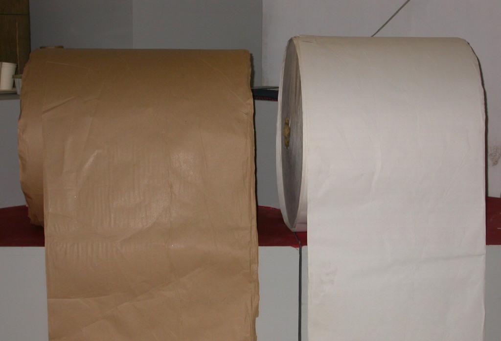 Paper & Pulp
