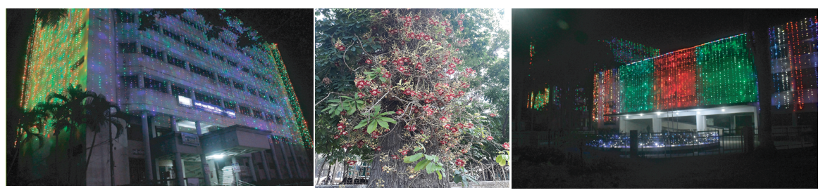 ব্যানার৫