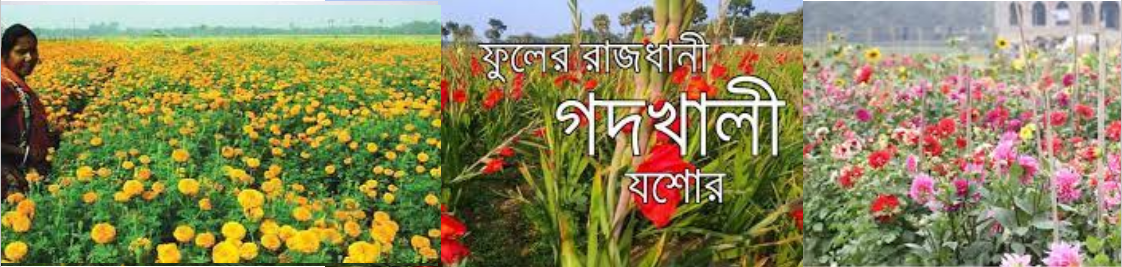 গদখালী যশোর, বাংলাদেশের ফুলের রাজধানী