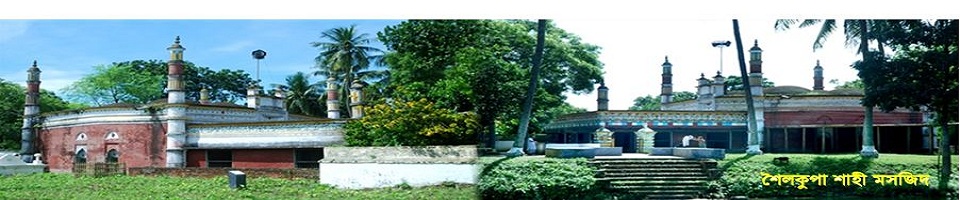 শৈলকুপা শাহী মসজিদ