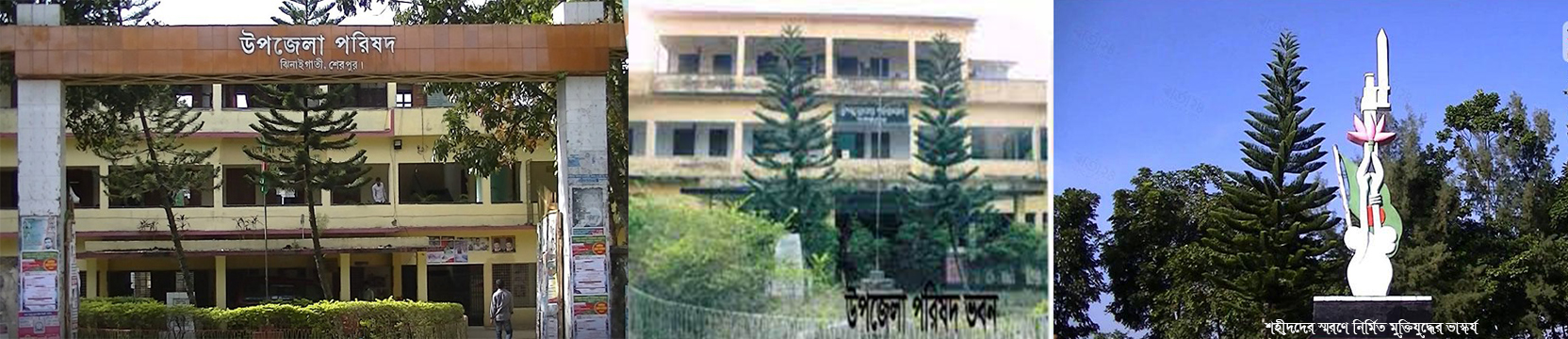 উপজেলা পরিষদ