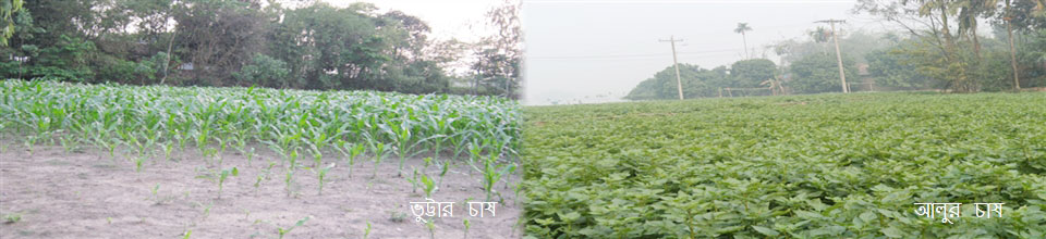 ঝলইশালশীরীর কৃষি