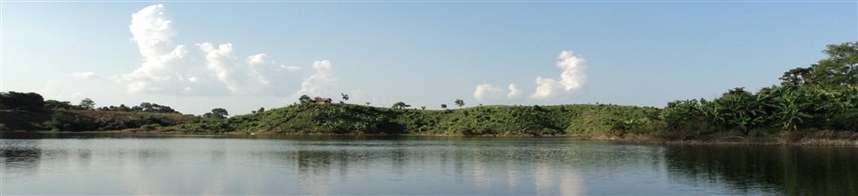 সিনারী