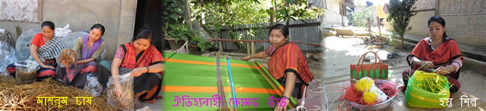 হস্ত শিল্প ও মাশরুম চাষ
