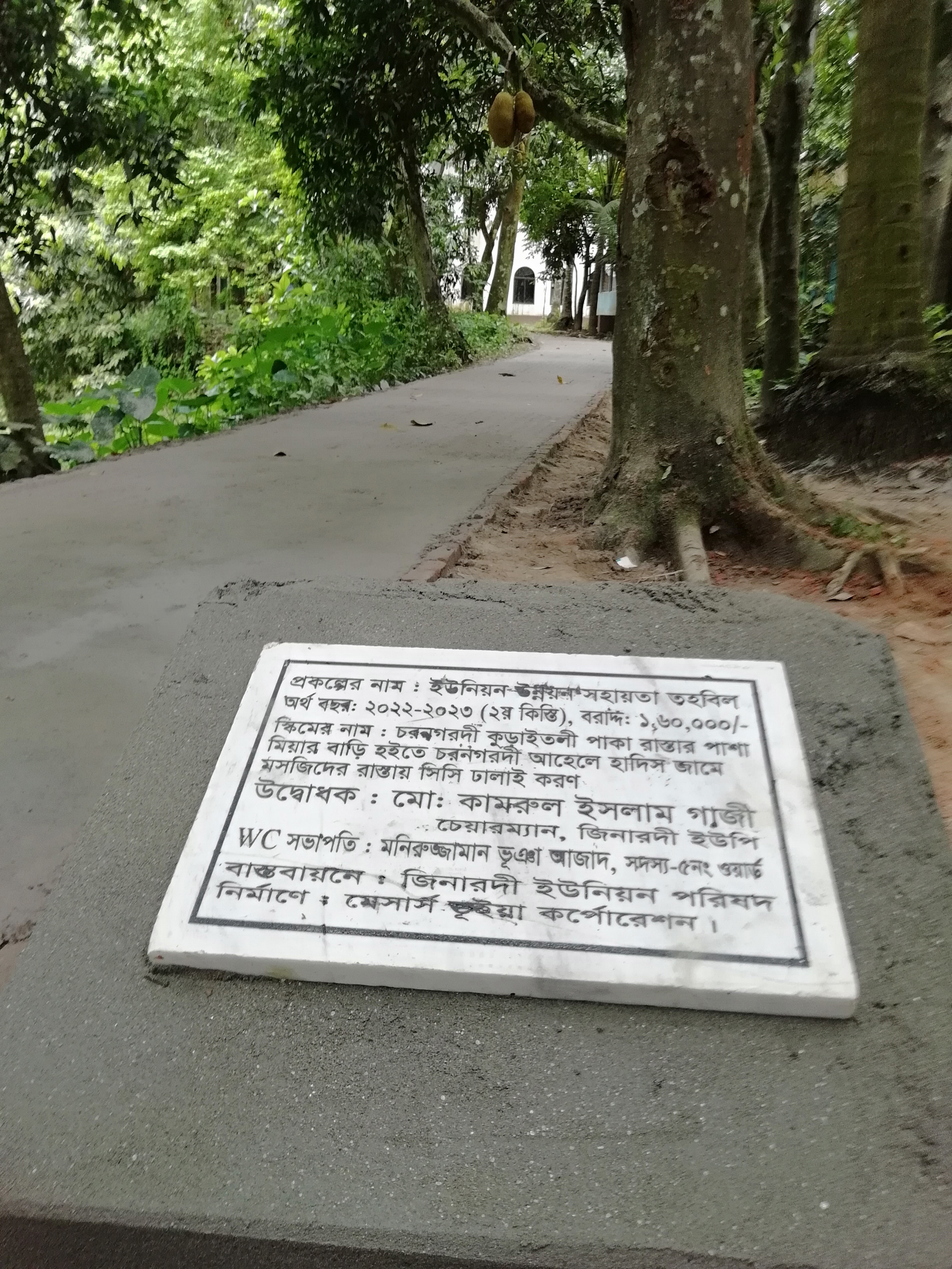 চরনগরদী কুড়াইতলী পাকা রাস্তার পাশা মিয়ার বাড়ি হইতে চরনগরদী আহেলে হাদিস জামে মসজিদের রাস্তায় সিসি ঢালই করণ।