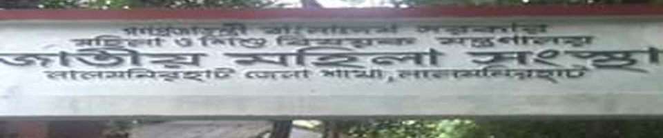 জামস
