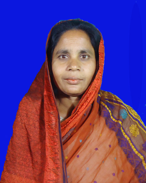 ই-সেবা কেন্দ্র, জেলা প্রশাসন