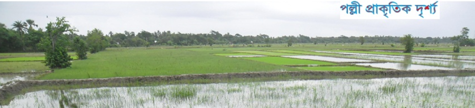 জলমা ইউনিয়ন পরিষদ